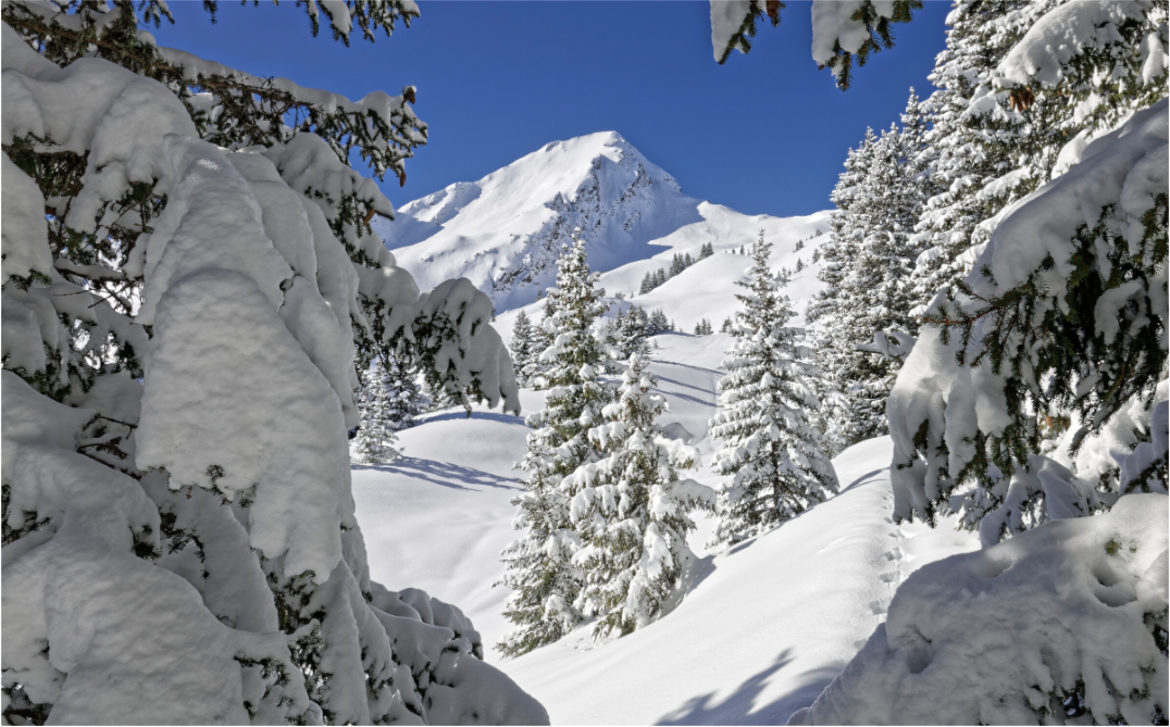Hiver