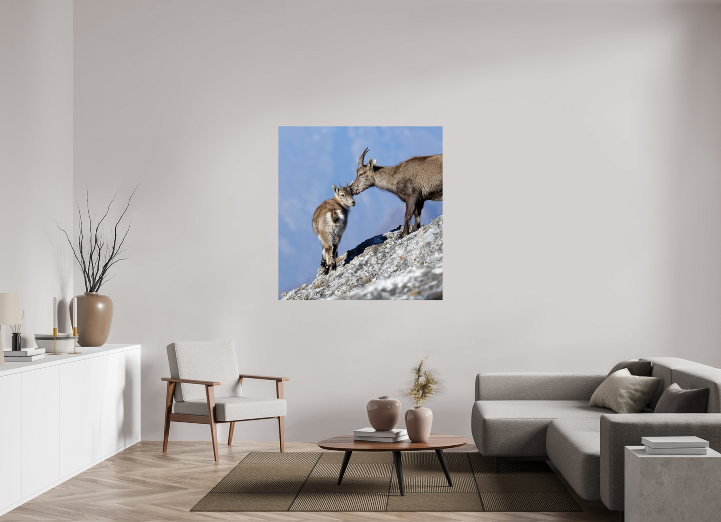 Bouquetin / Ibex
