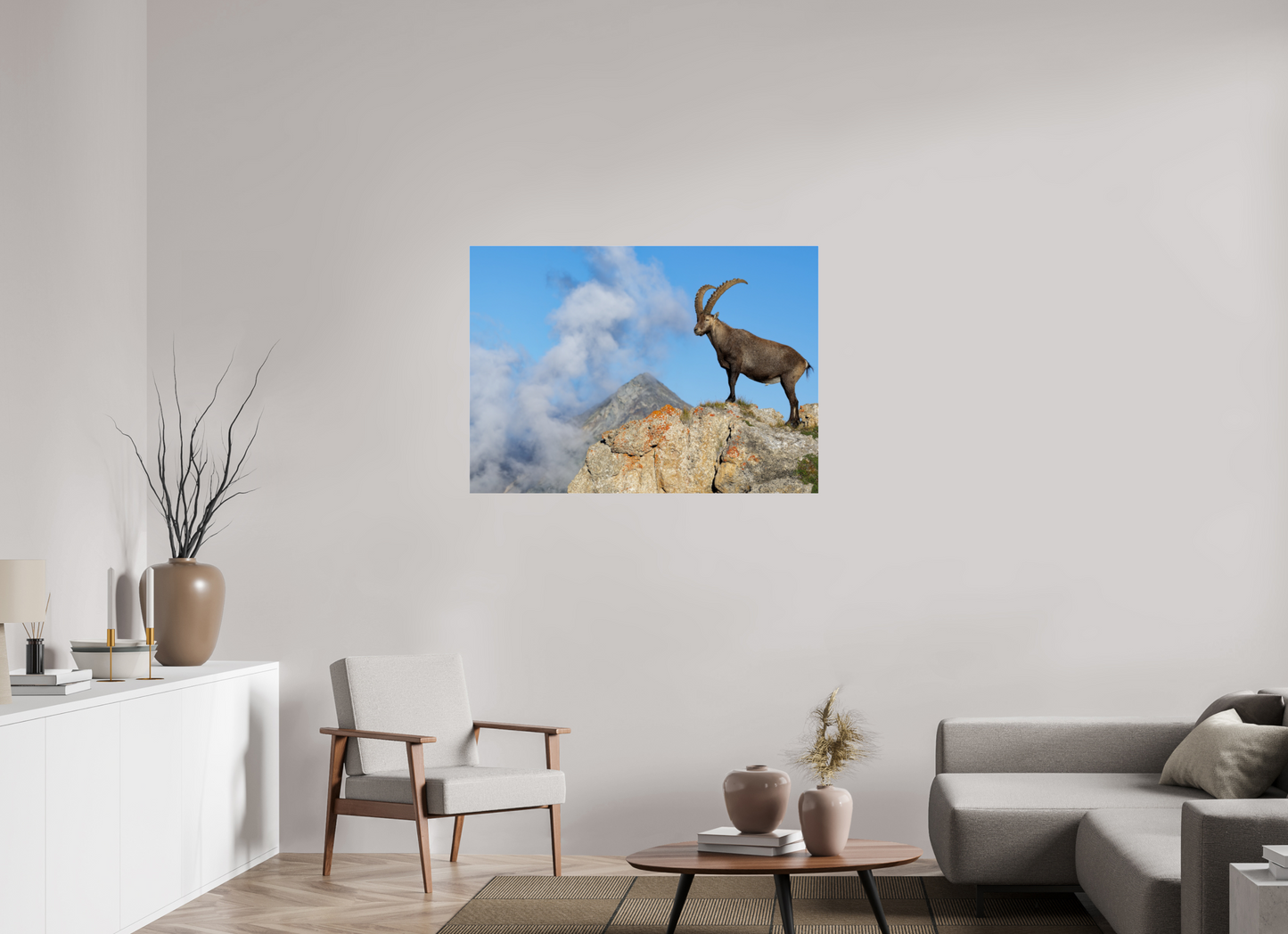 Bouquetin / Ibex