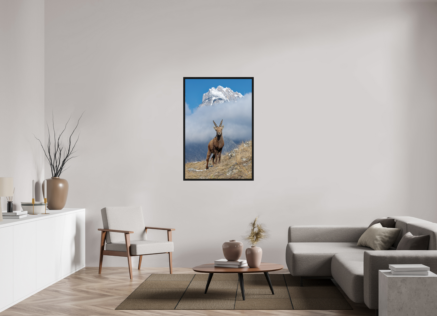 Bouquetin / Ibex