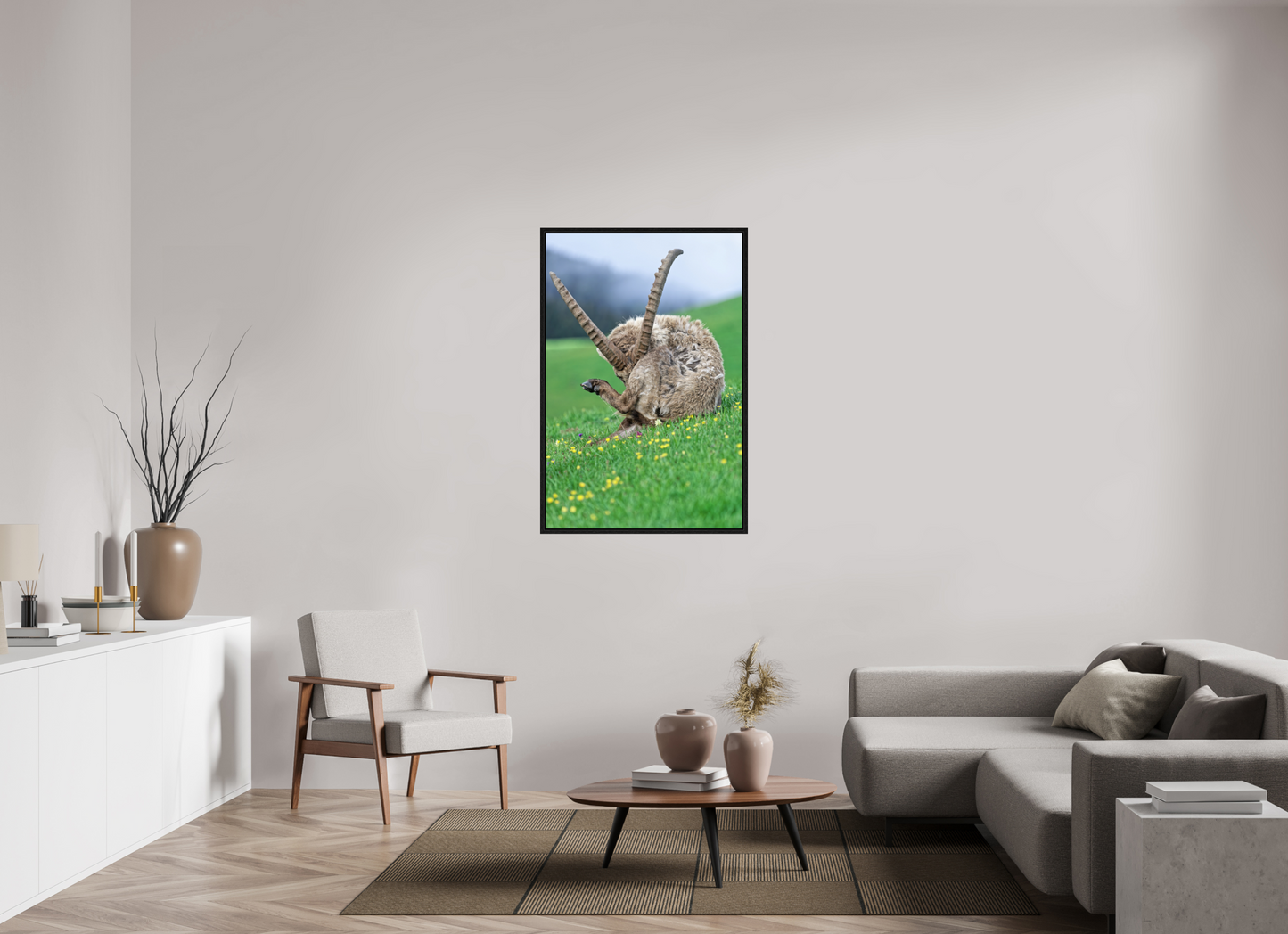 Bouquetin / Ibex