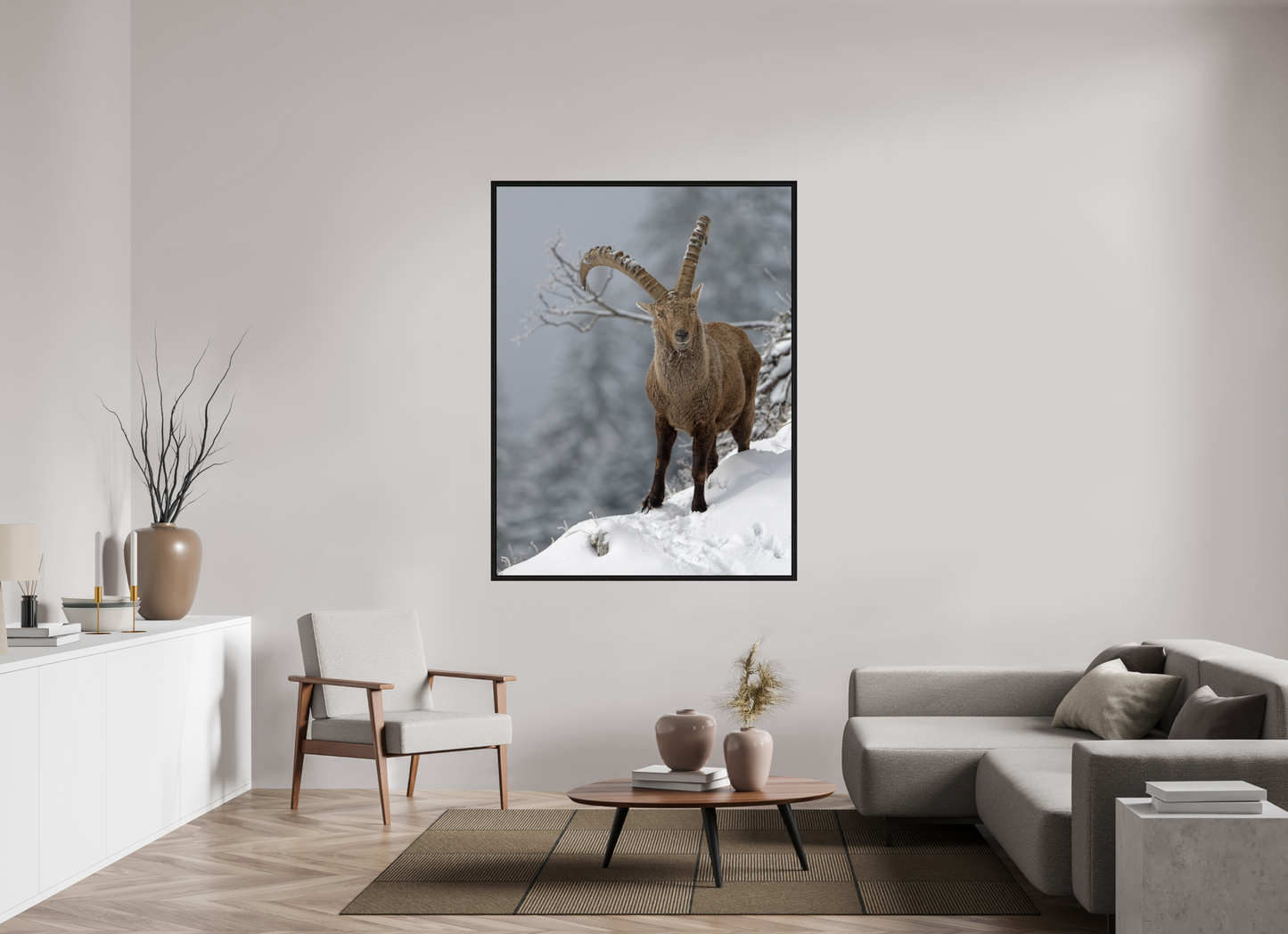 Bouquetin / Ibex
