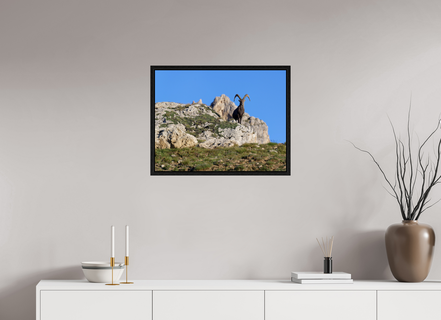 Bouquetin / Ibex