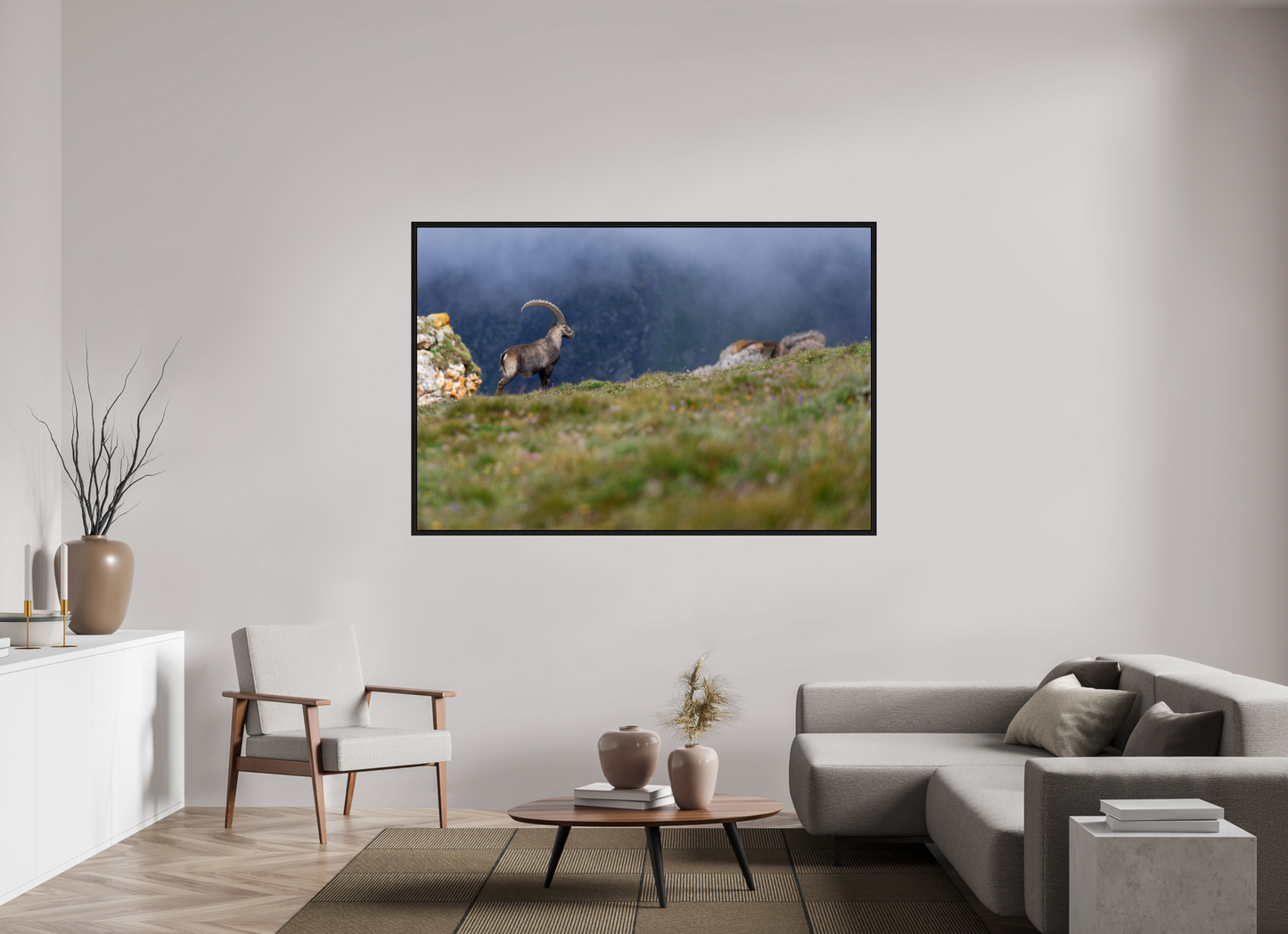 Bouquetin / Ibex