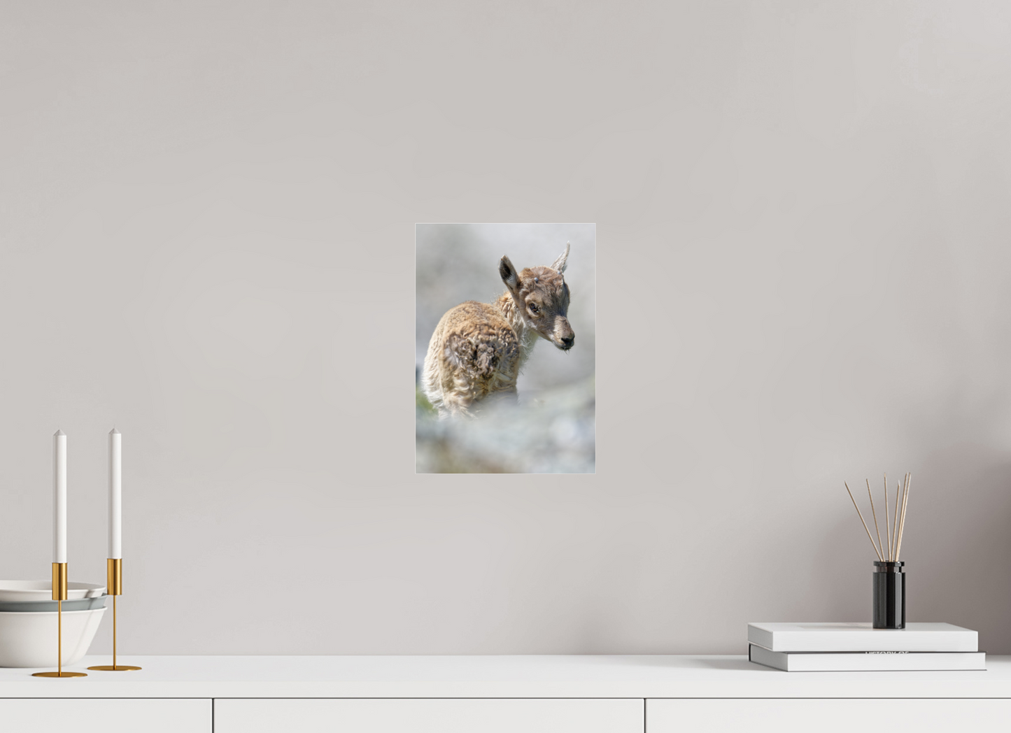 Bouquetin / Ibex