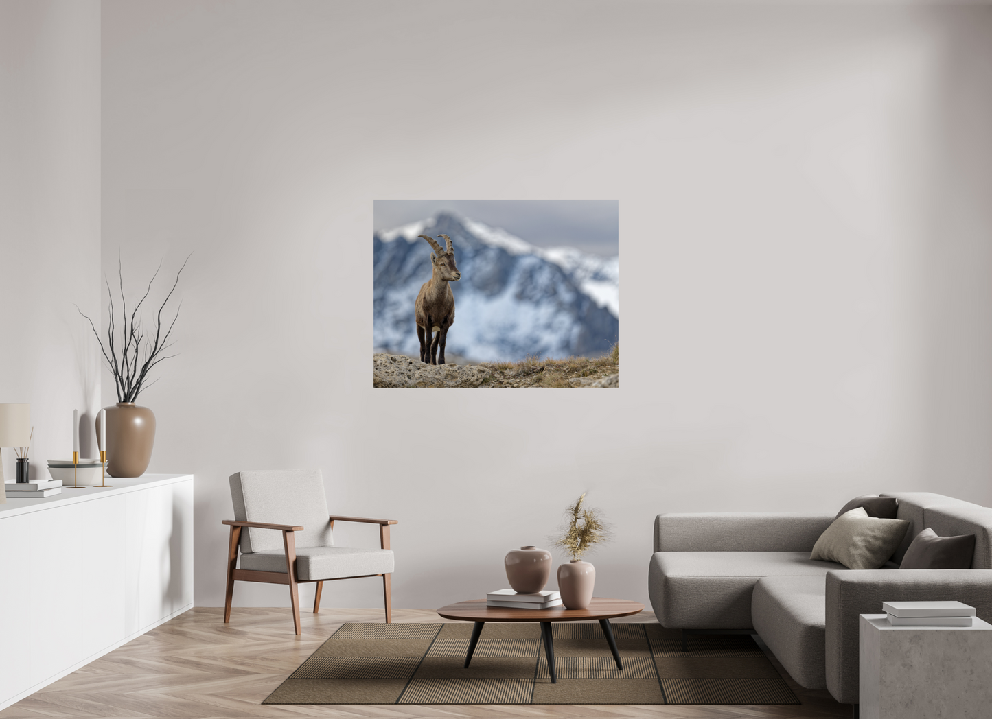 Bouquetin / Ibex