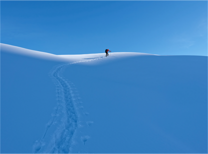 Hiver / Winter