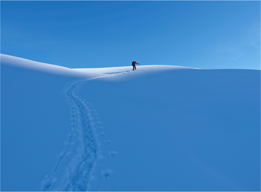 Hiver / Winter