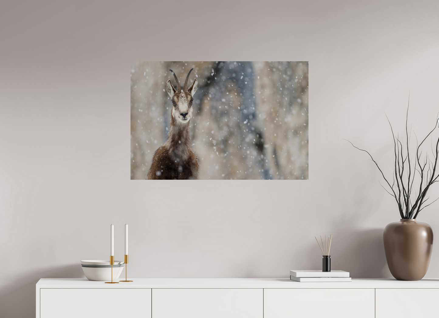 Chamois