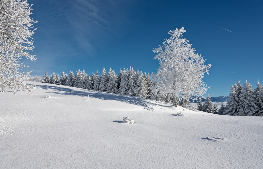 Hiver / Winter