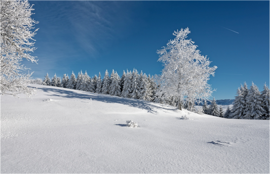 Hiver / Winter