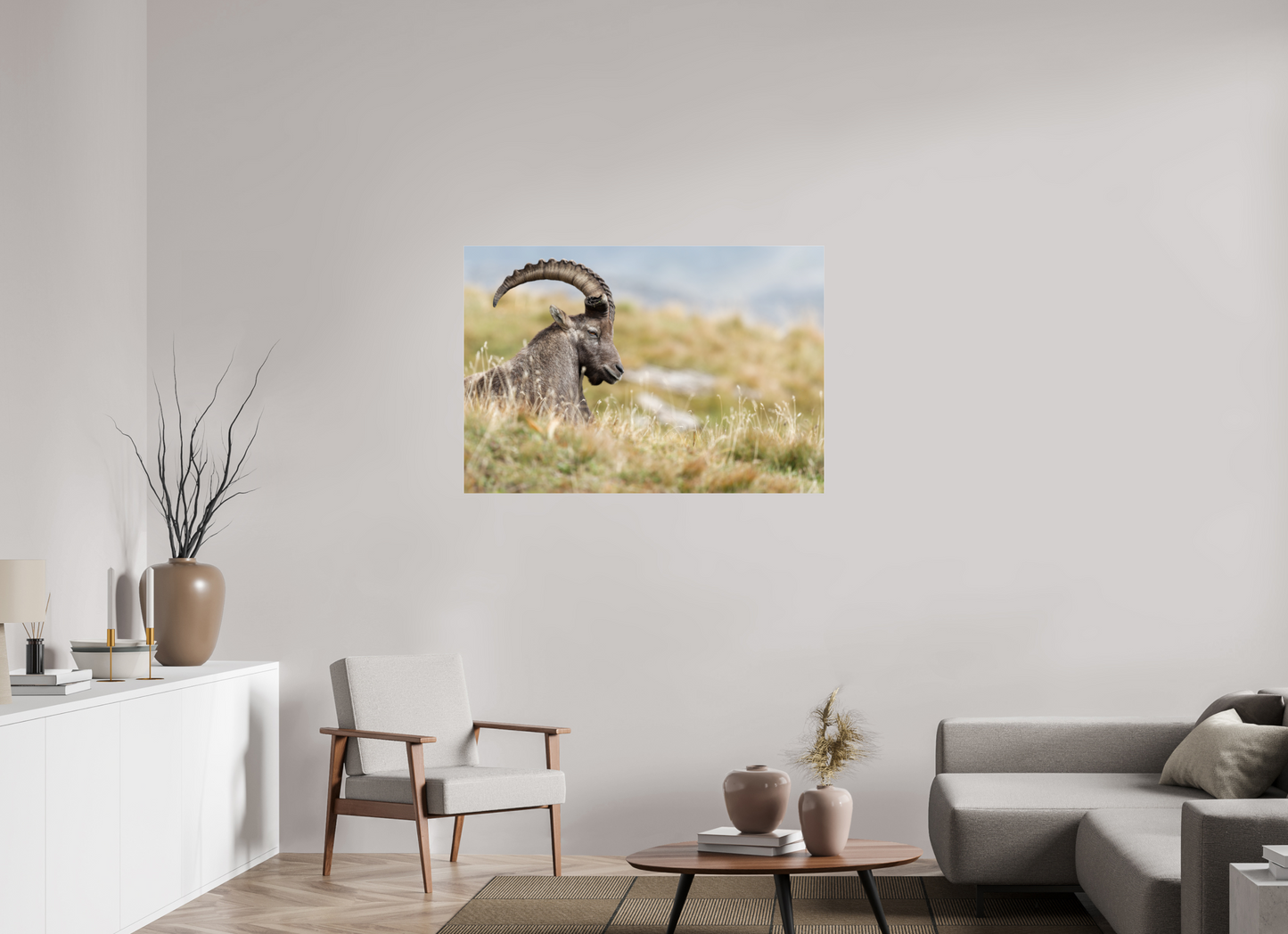 Bouquetin / Ibex