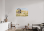 Bouquetin / Ibex