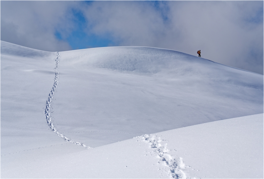 Hiver / Winter