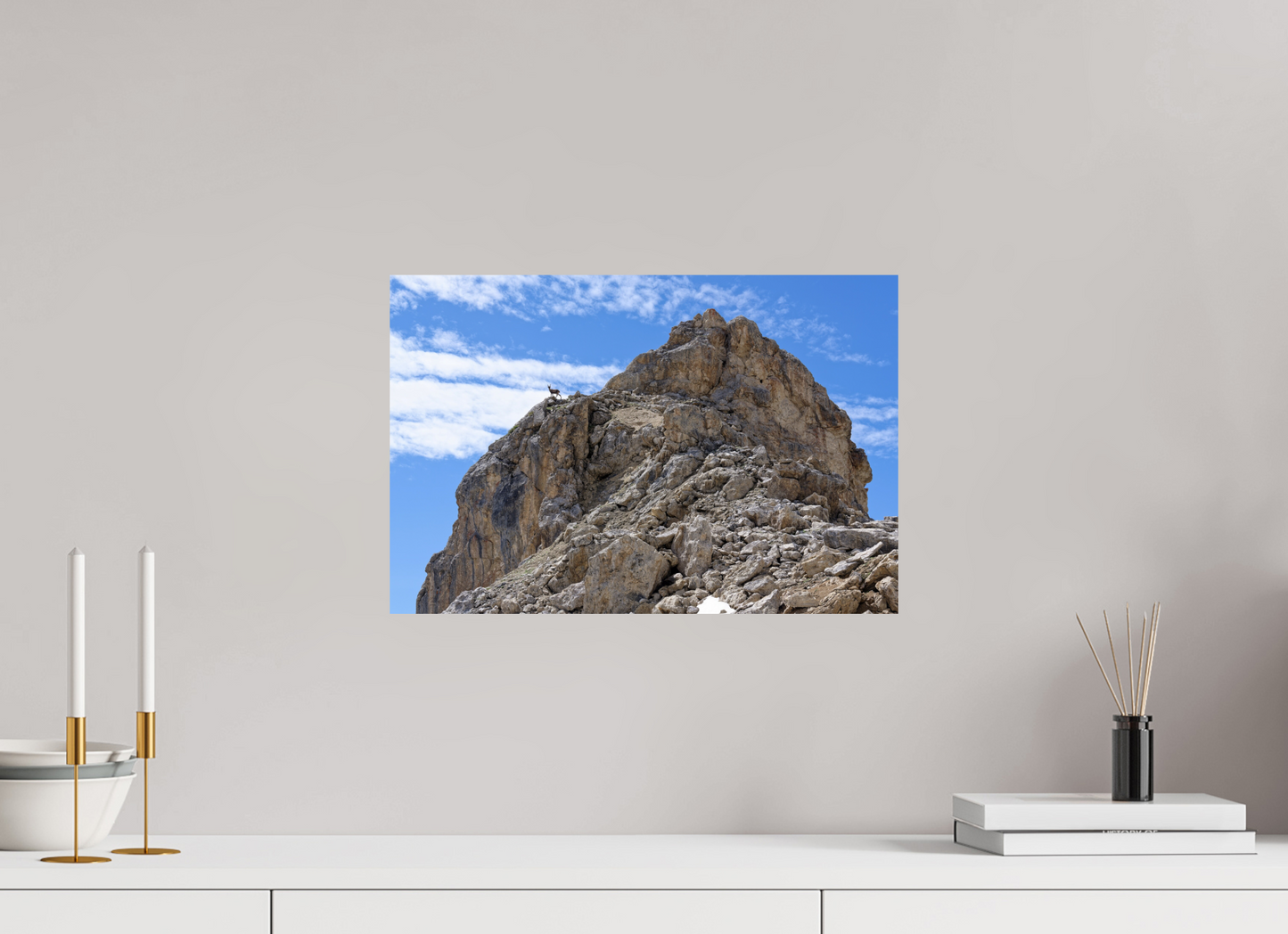 Bouquetin / Ibex
