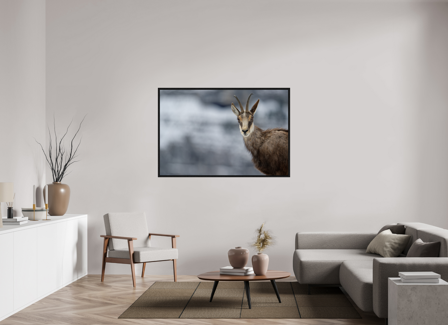 Chamois