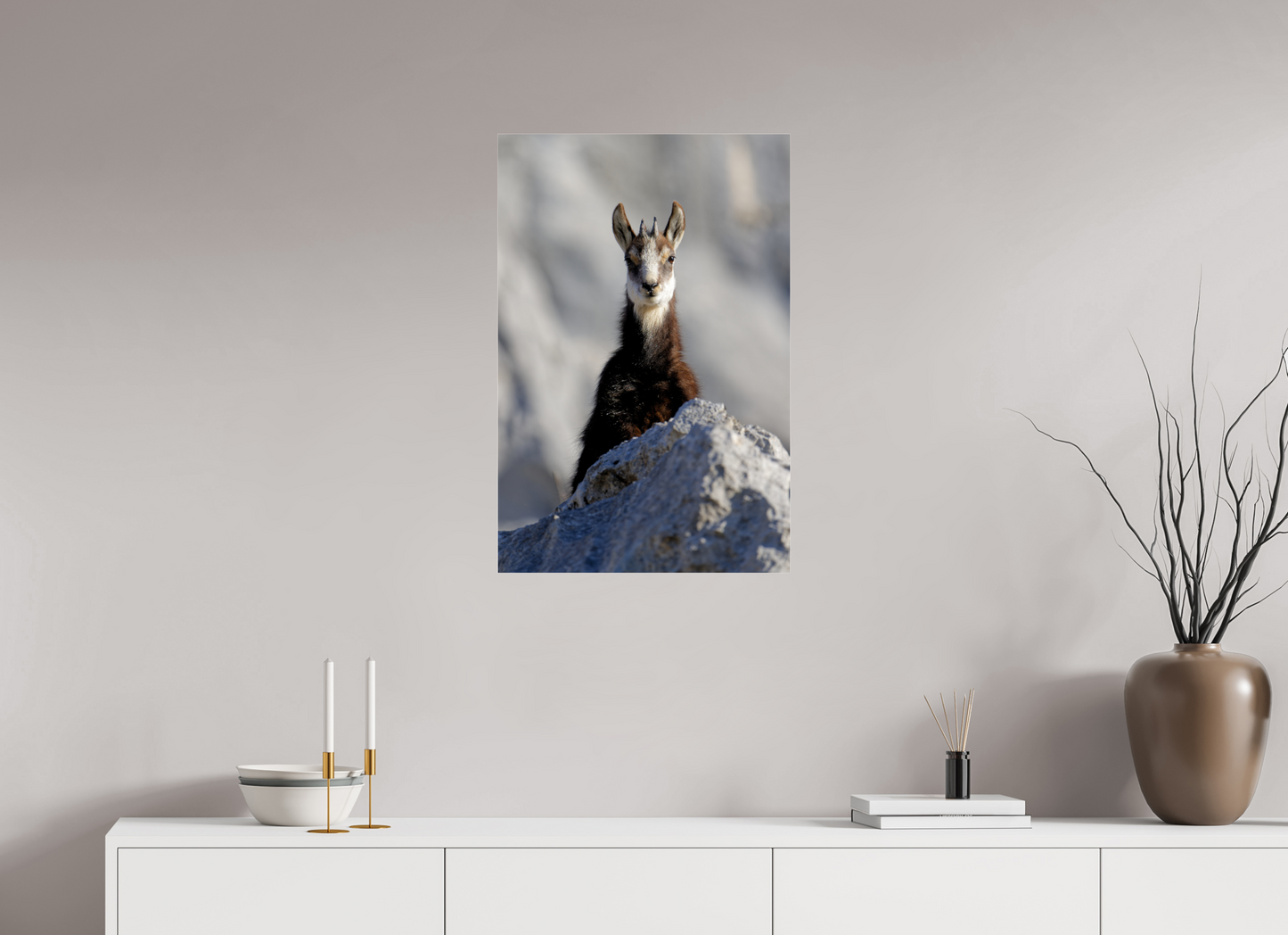 Chamois
