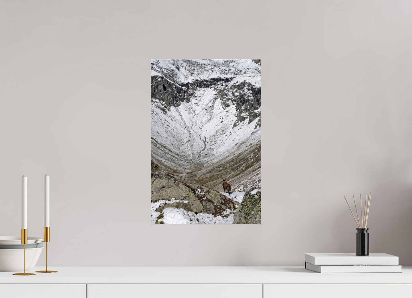 Bouquetin / Ibex