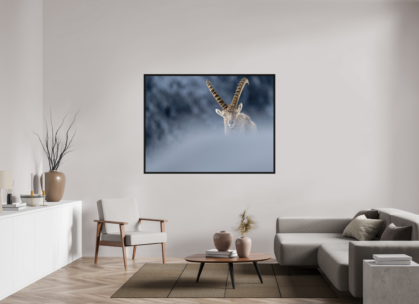 Bouquetin / Ibex