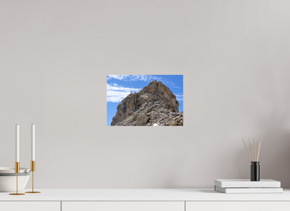 Bouquetin / Ibex