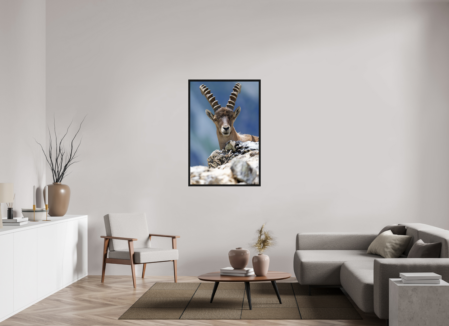 Bouquetin / Ibex