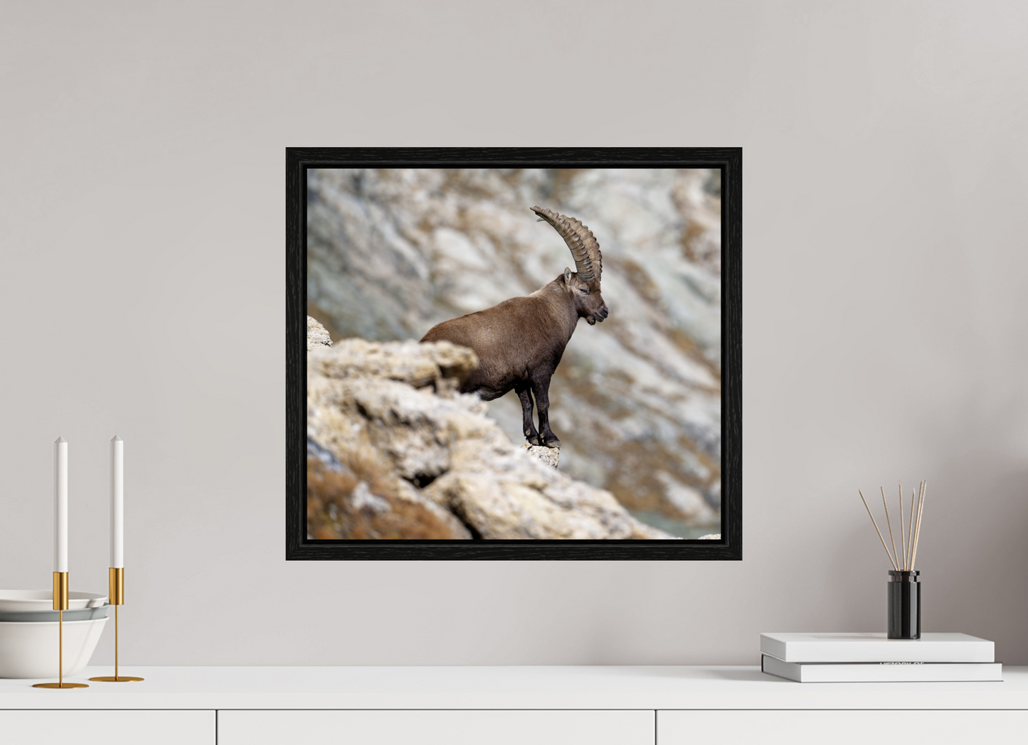 Bouquetin / Ibex