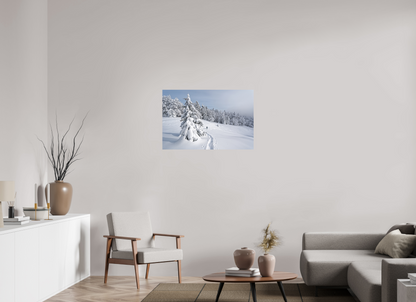 Hiver / Winter