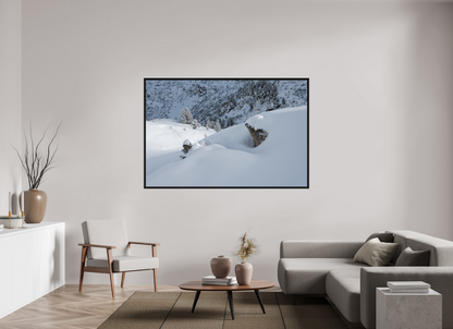 Hiver / Winter