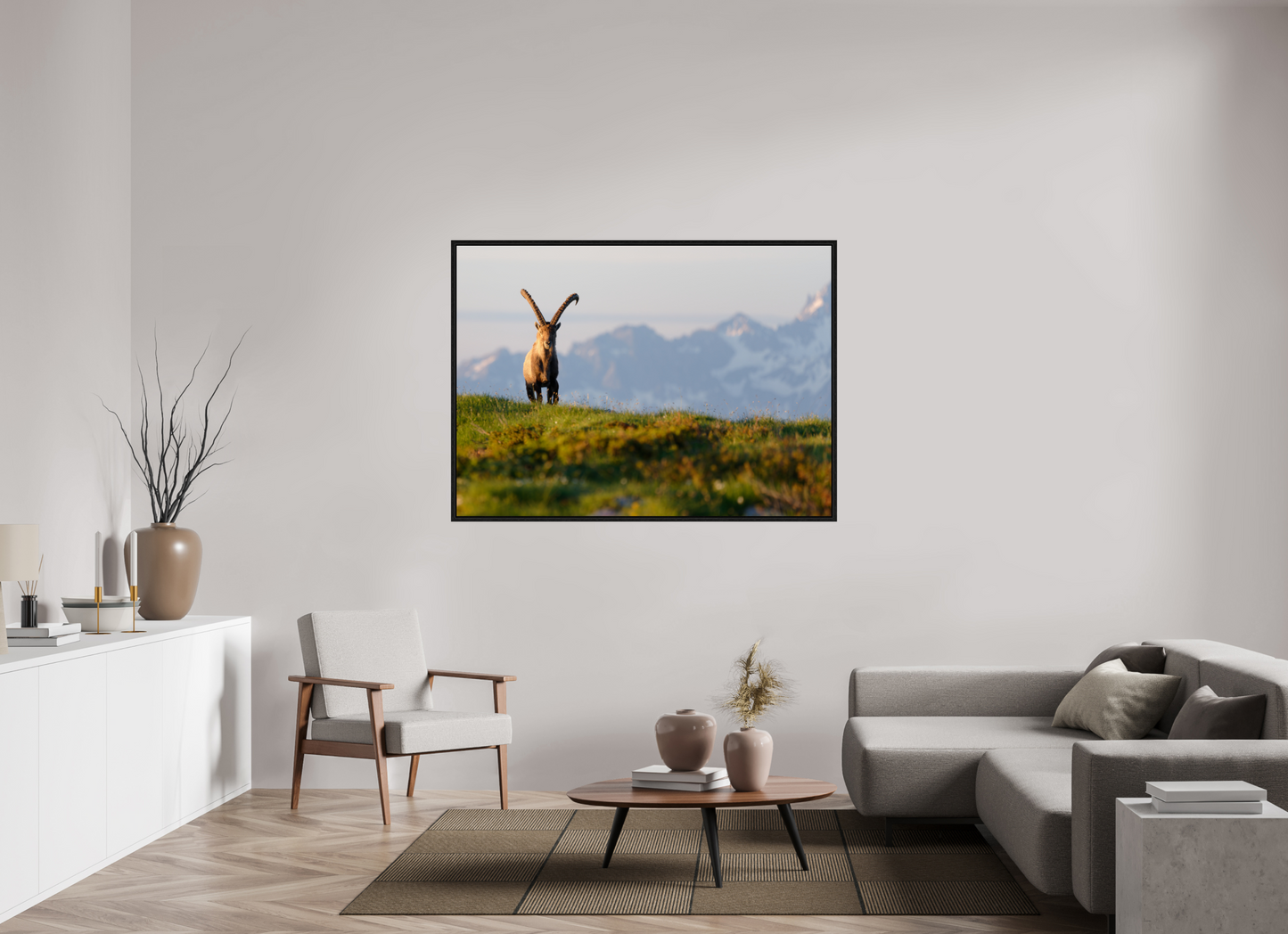 Bouquetin / Ibex