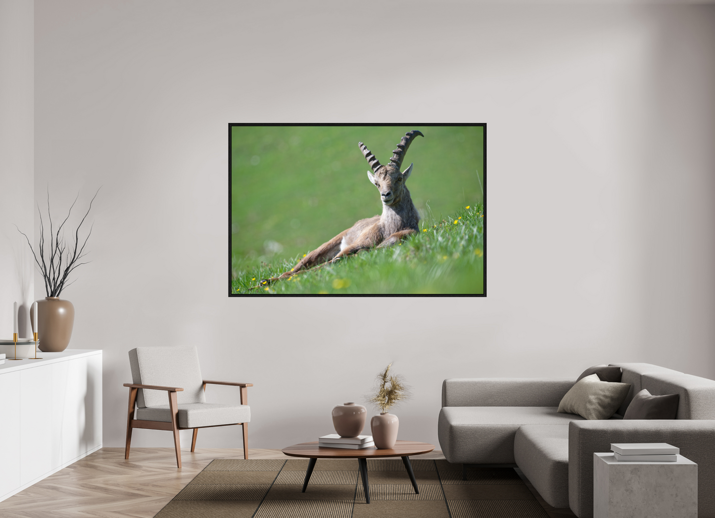 Bouquetin / Ibex