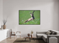 Bouquetin / Ibex