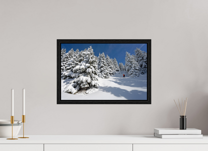 Hiver / Winter