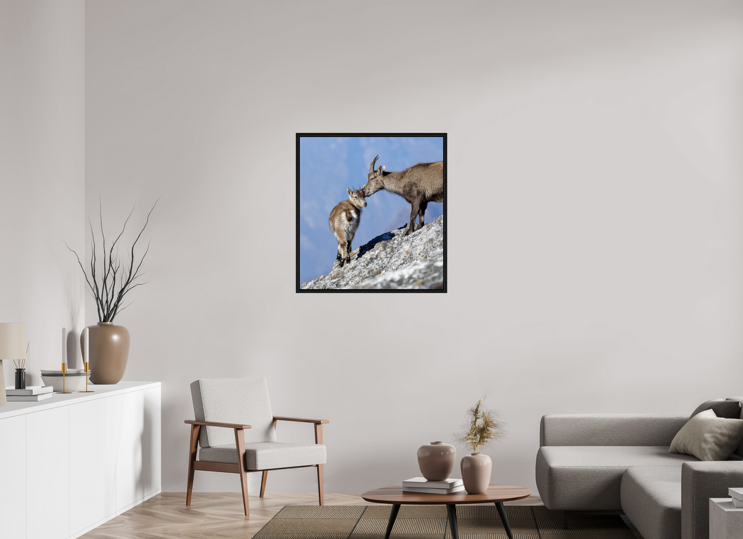Bouquetin / Ibex