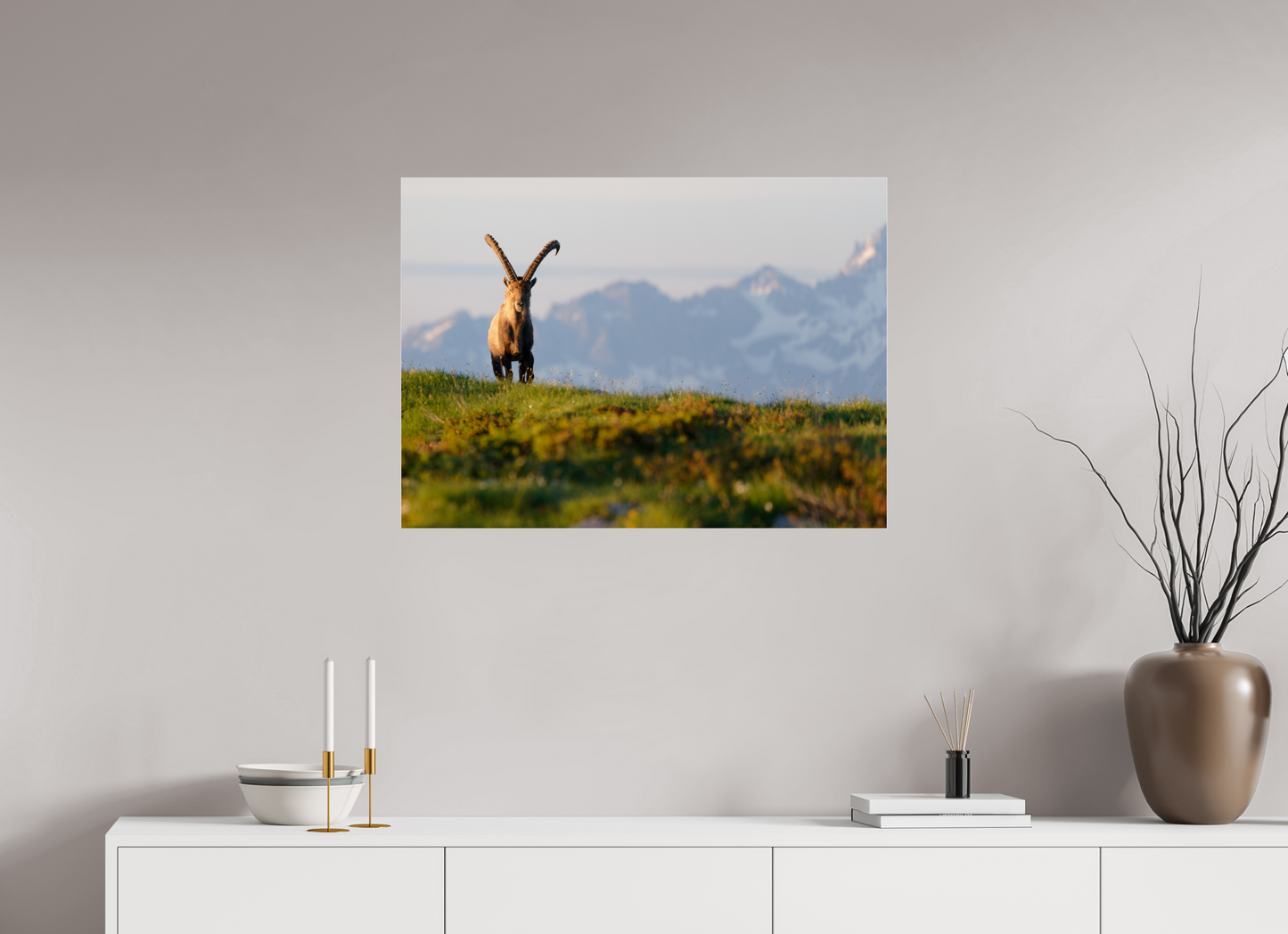 Bouquetin / Ibex