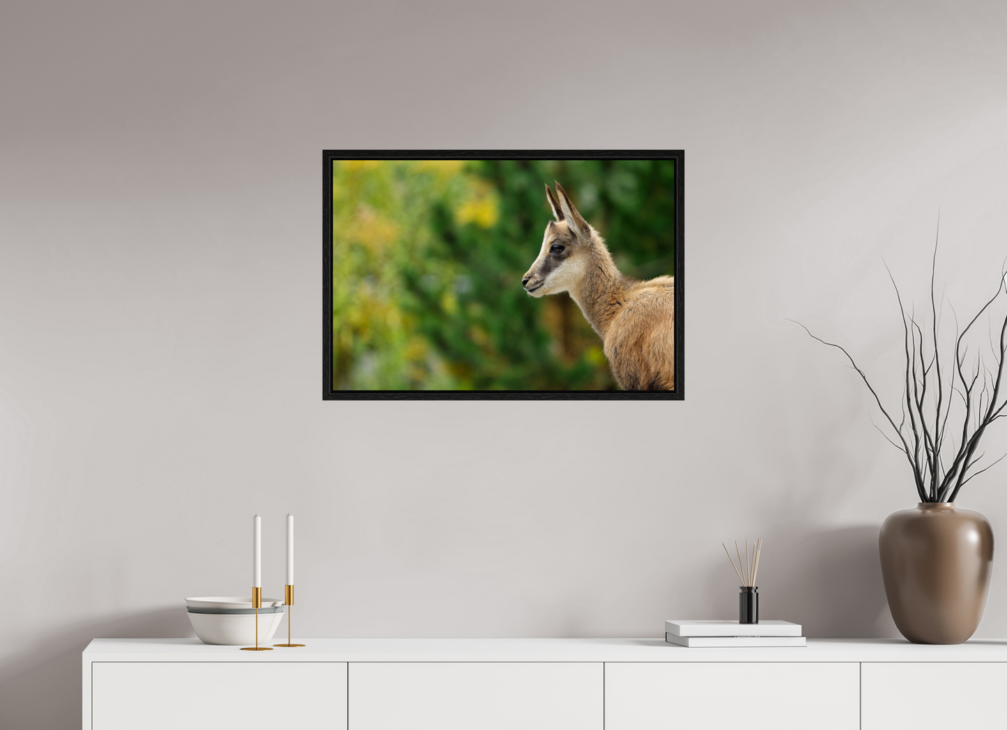 Chamois