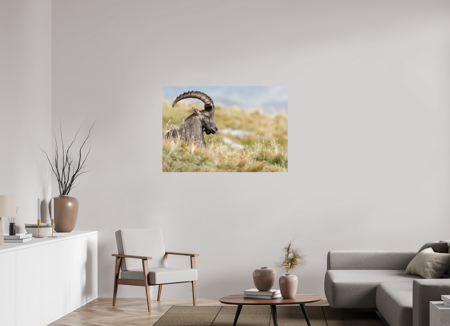 Bouquetin / Ibex