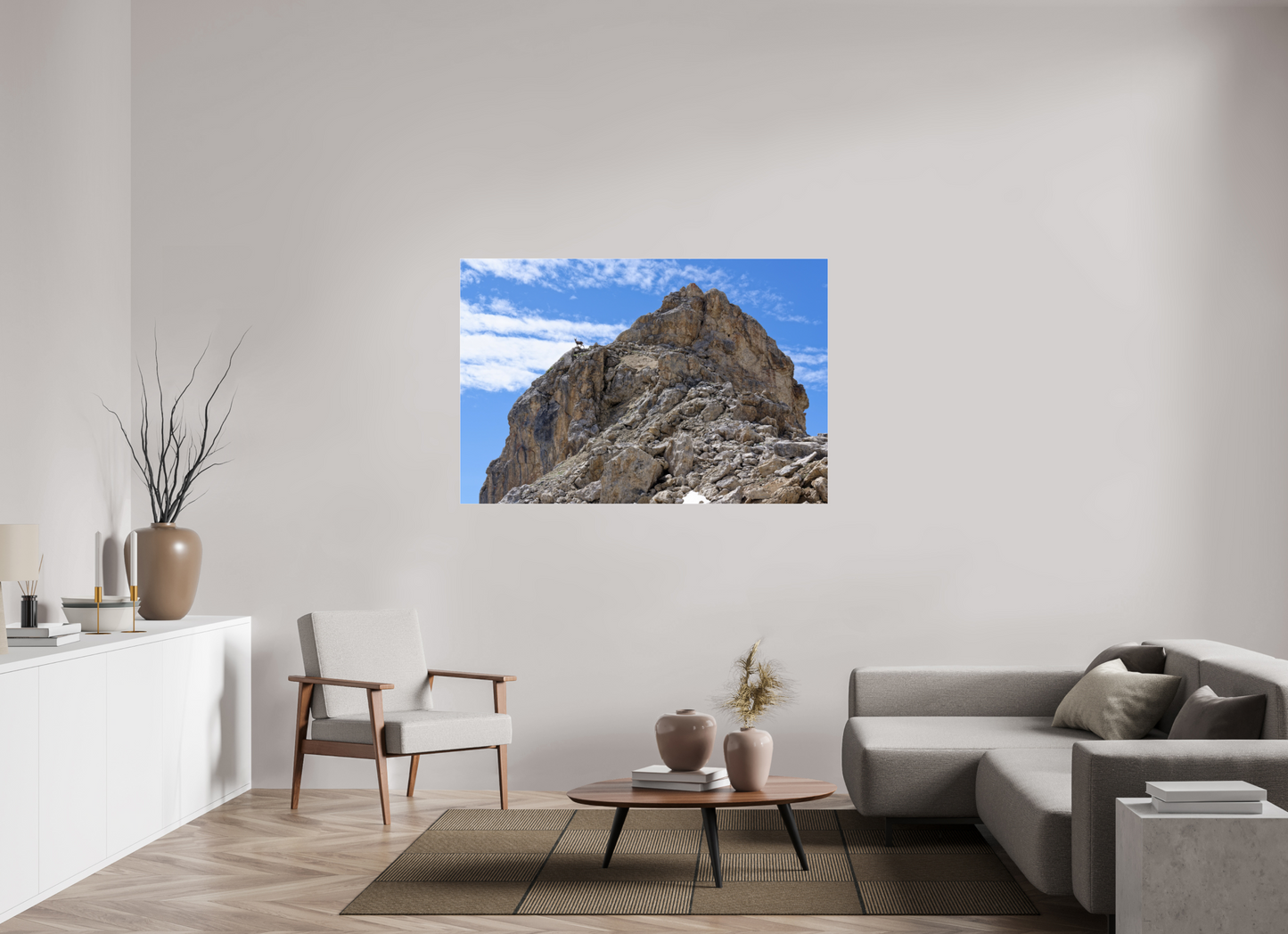 Bouquetin / Ibex