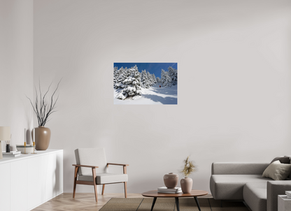 Hiver / Winter