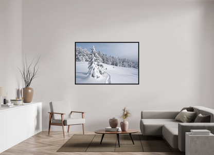 Hiver / Winter