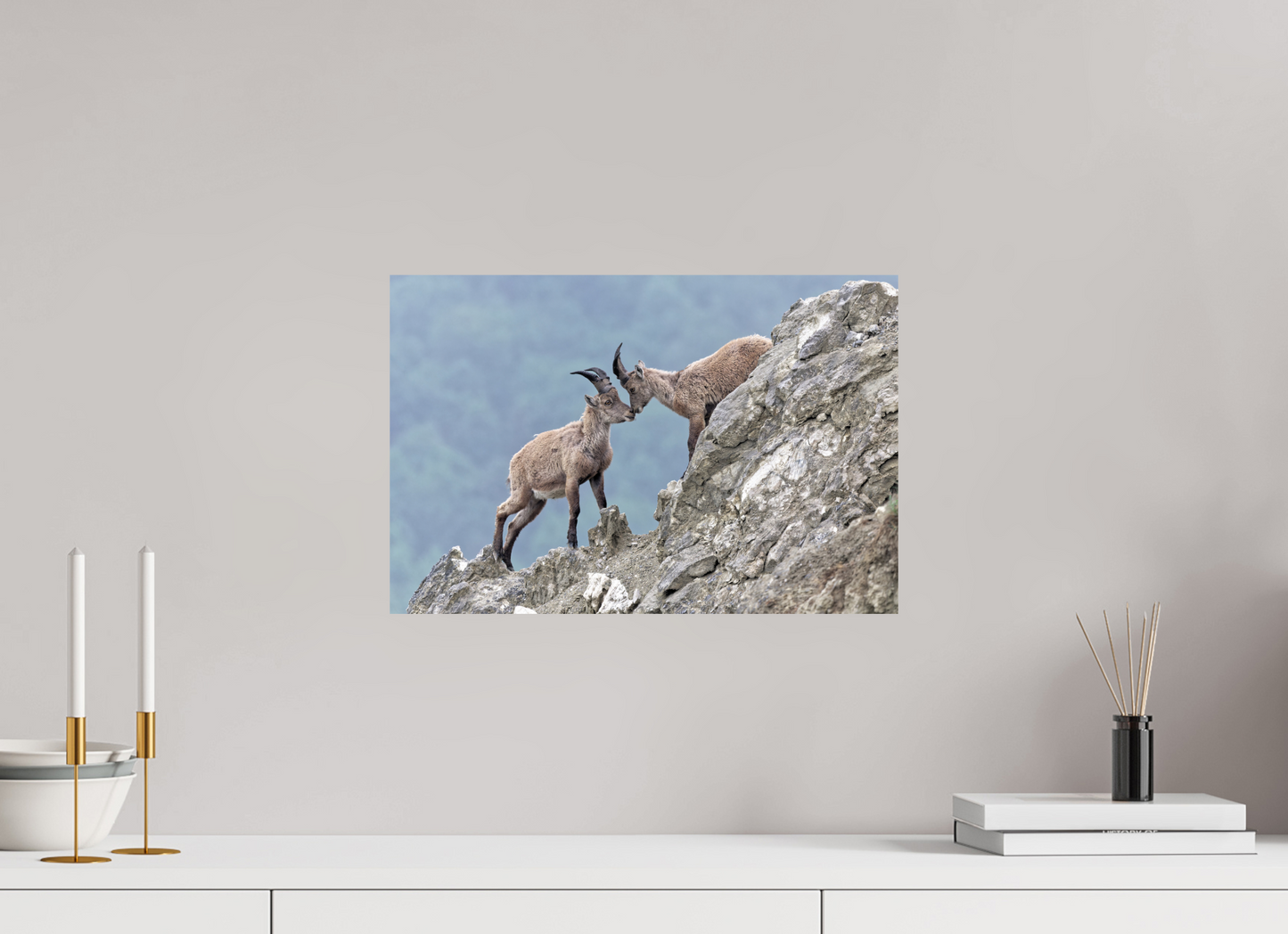 Bouquetin / Ibex