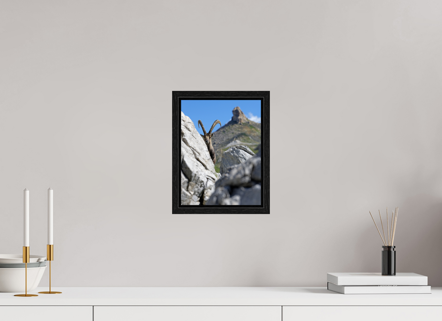 Bouquetin / Ibex