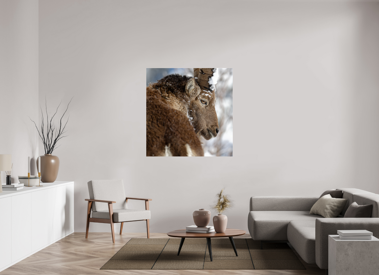 Bouquetin / Ibex