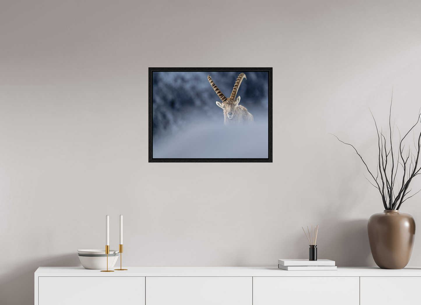 Bouquetin / Ibex