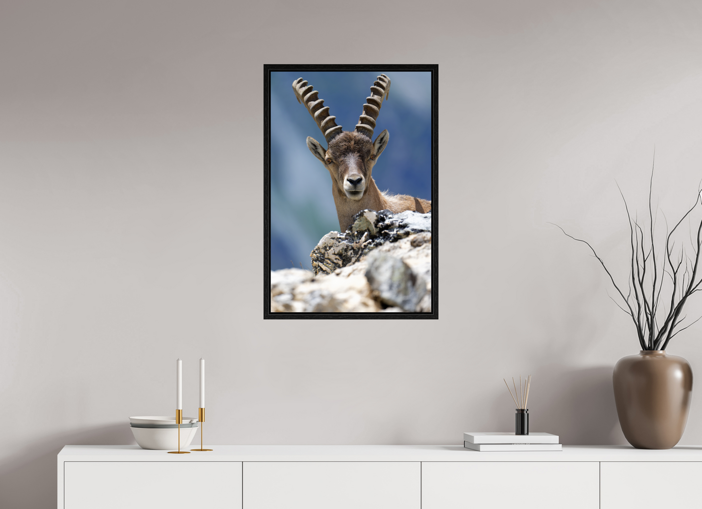 Bouquetin / Ibex