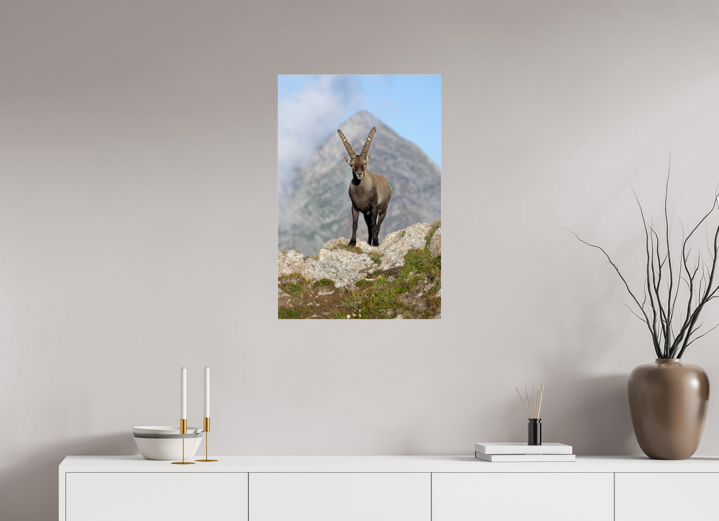 Bouquetin / Ibex