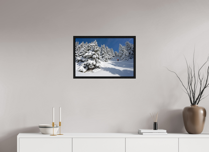 Hiver / Winter