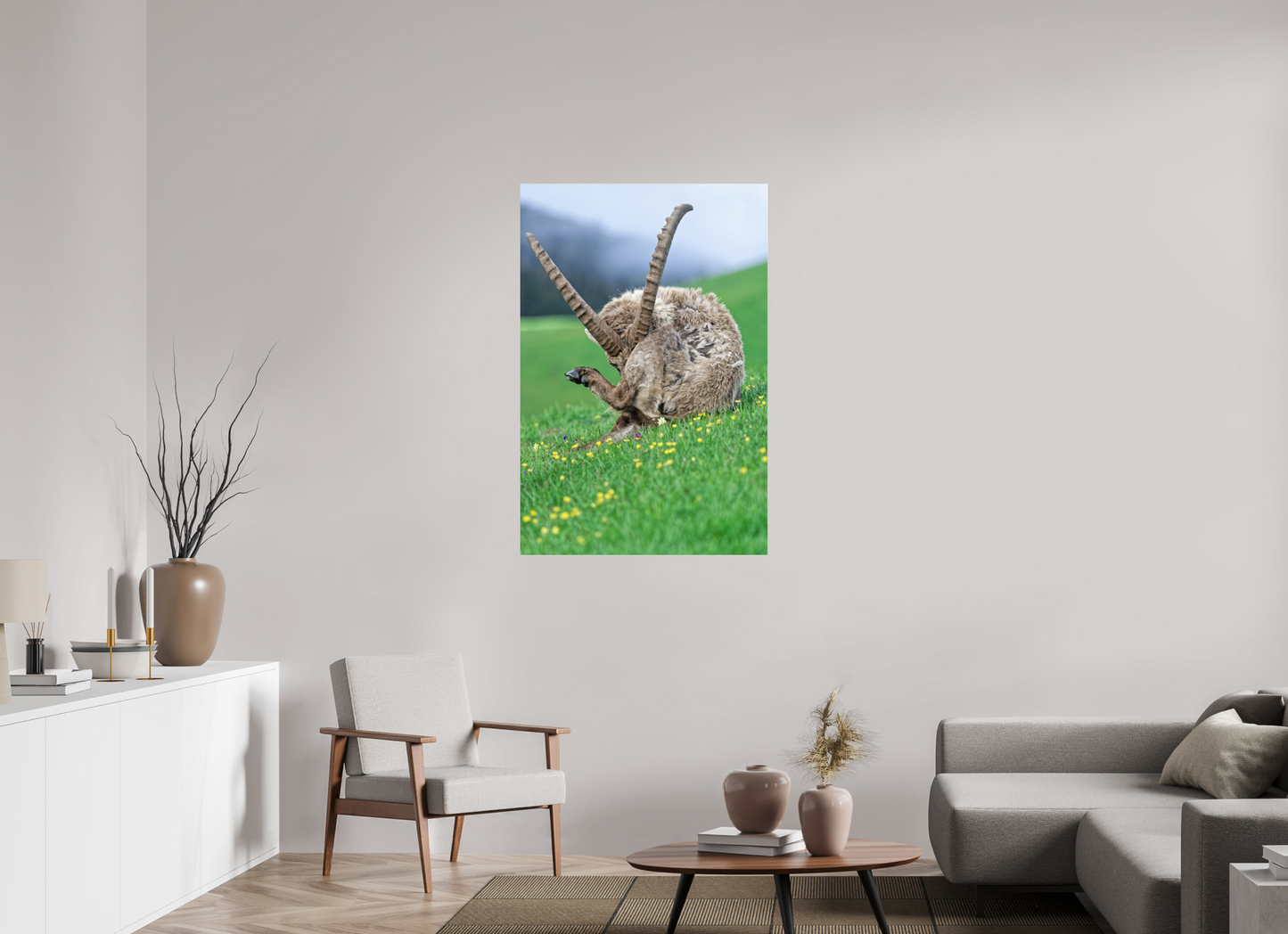 Bouquetin / Ibex