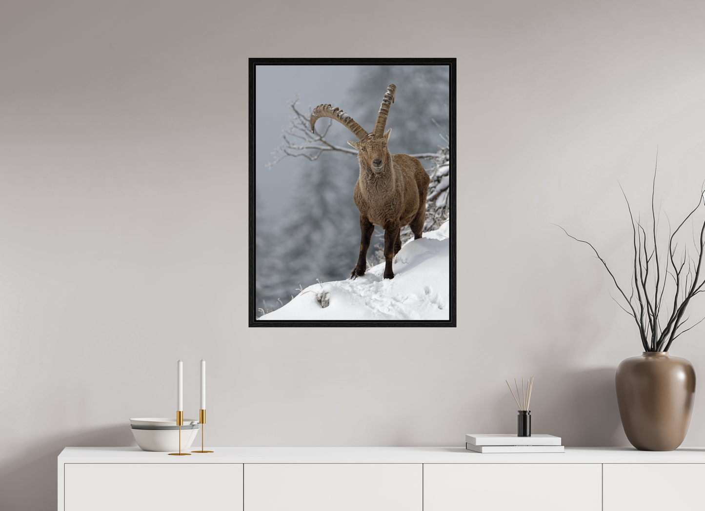 Bouquetin / Ibex