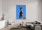 Bouquetin / Ibex