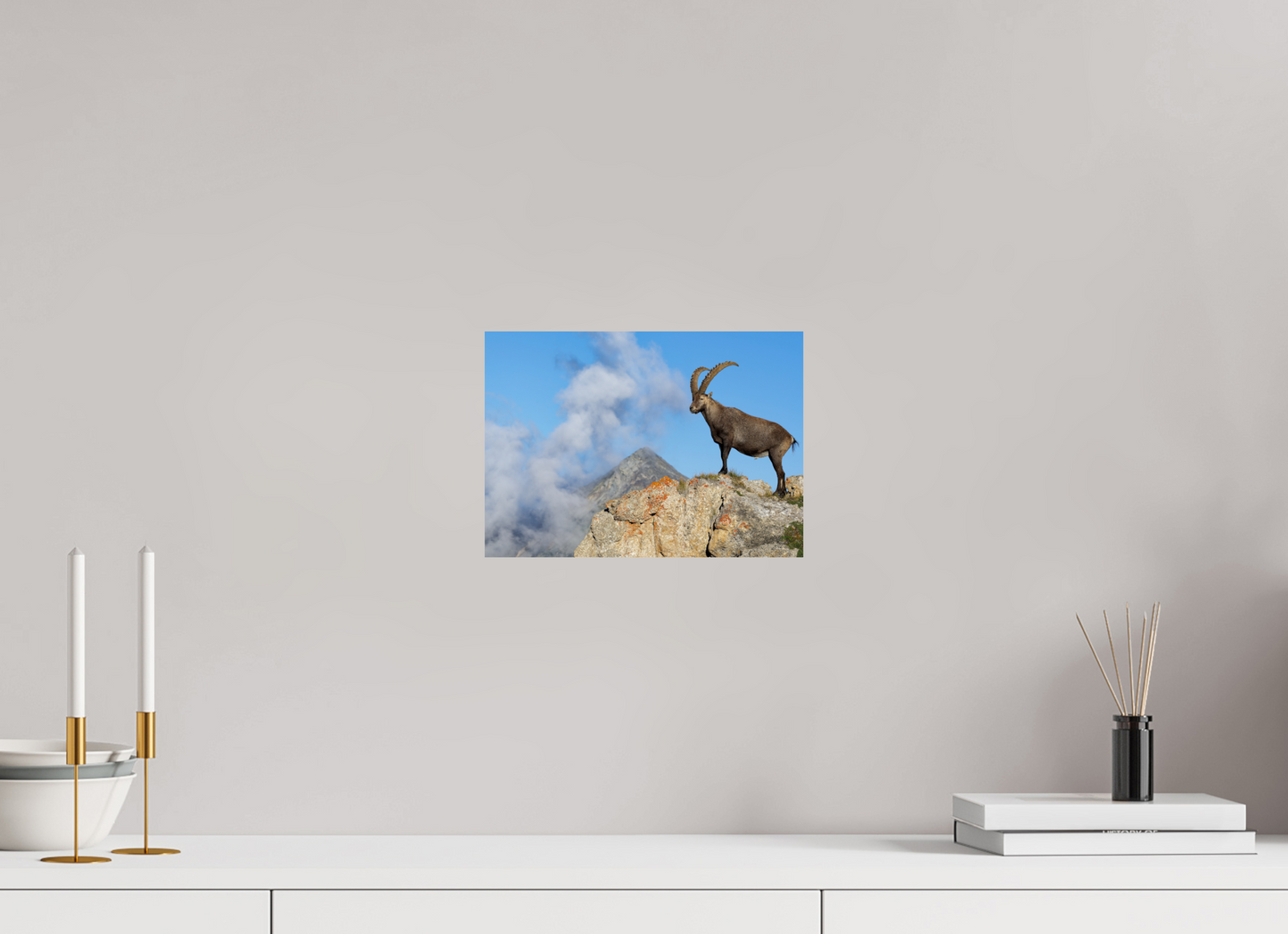 Bouquetin / Ibex